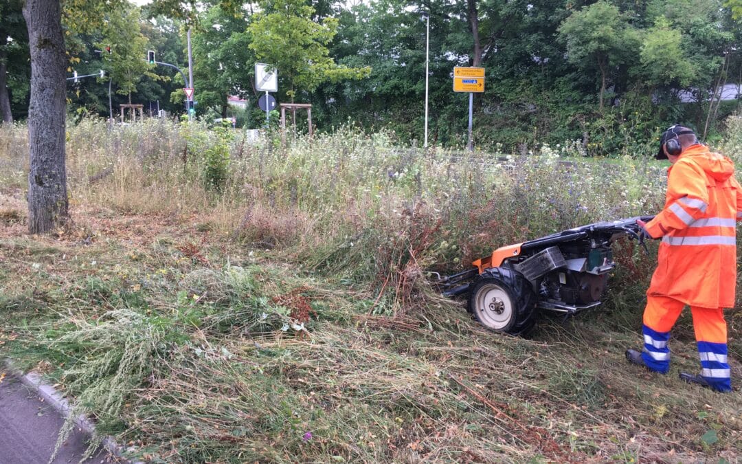 Ein naturnahes Pflegekonzept für Öffentliche Grünflächen Maßnahme im Rahmen der Initiative „Wir machen’s uns grüner“
