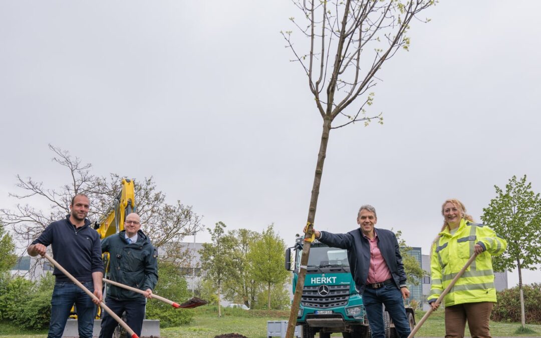 Wir machen’s uns grüner – Erste Bäume werden gepflanzt