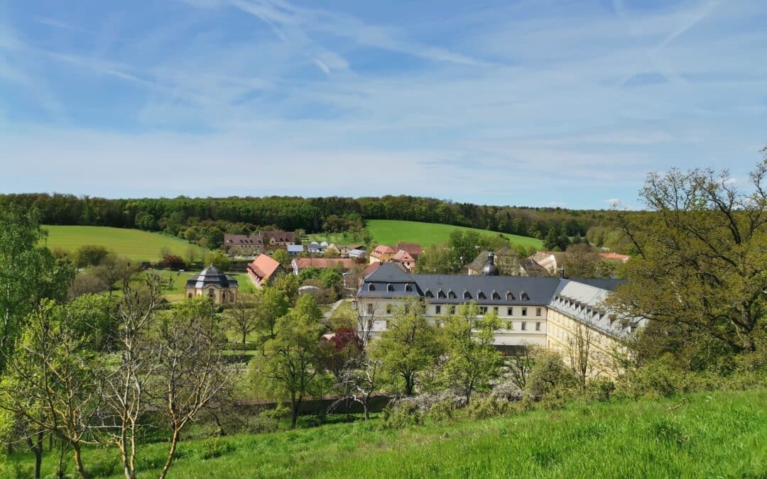 Die Kraft der Natur entdecken: Ausbildung zum Wald- und Naturcoach