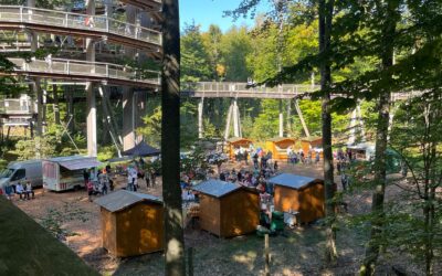 Regionale Vielfalt erleben, den Wald entdecken Regionalmärkte & Jubiläum 2025 am Baumwipfelpfad Steigerwald
