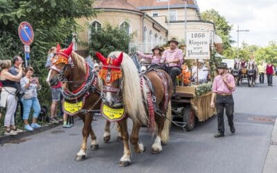 Pferdegespanne gesucht