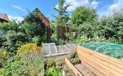 Wettbewerb „Naturnaher Garten“  und Förderung von Klimabäumen