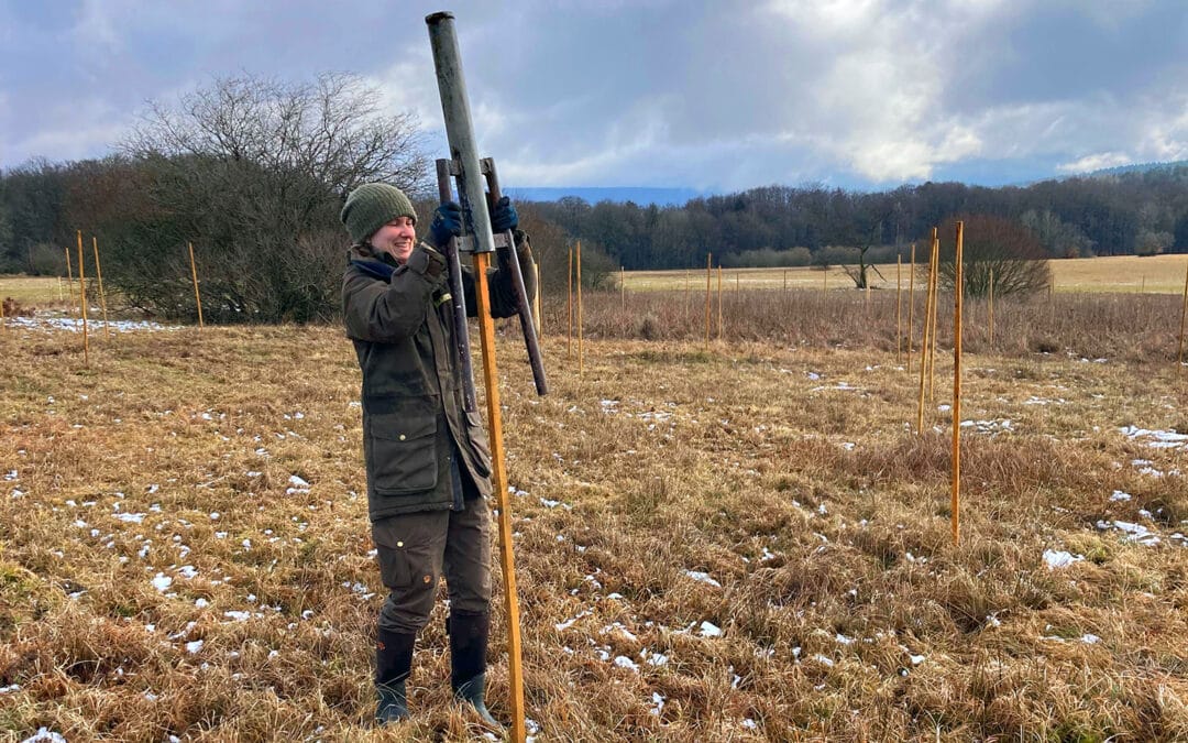 Partnersuche mit Überblick