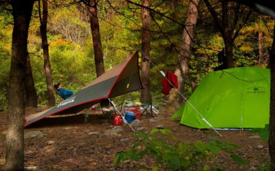 Restplätze Zirkuscamp Rafeldinio – 2. Woche: 11.08. – 16.08.2025 – Für alle ab 7 Jahren