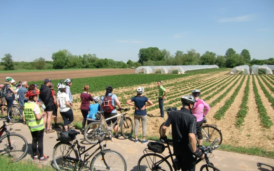 Radtour zu vier Bio-Betrieben mit Genusseinkehr