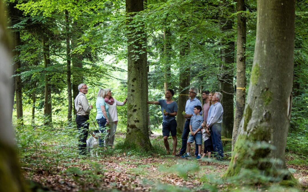 Waldführung im FriedWald am Zabelstein