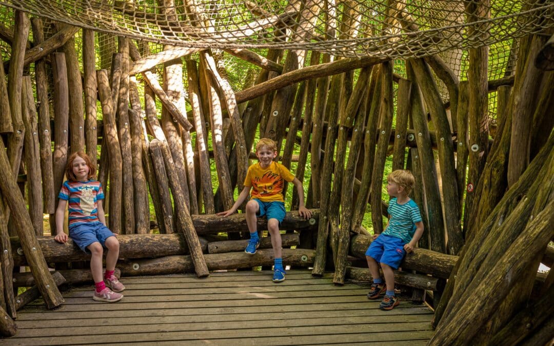Baumwipfelpfad Steigerwald in den Startlöchern für Jubiläumsjahr 2026