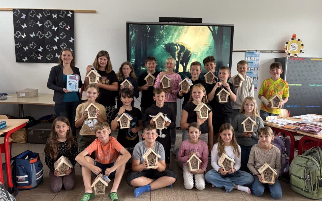 Belohnung für fleißige Entdeckerinnen und Entdecker