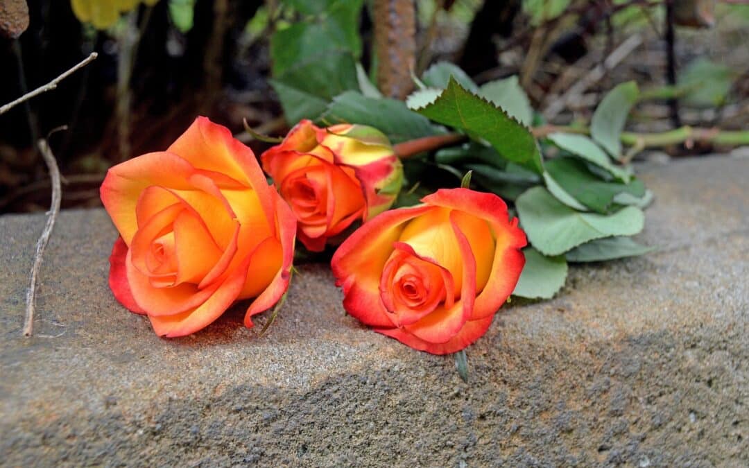 Lotse für die letzten Dinge Der Johanniter-Abschiedslotse bietet Orientierung und Unterstützung in der letzten Lebensphase