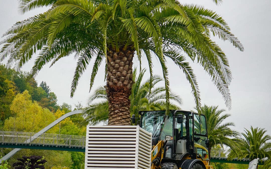 Beginn der goldenen Jahreszeit in Bad Kissingen