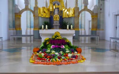 Erntedank – Wertschätzung für Natur und Lebensmittel