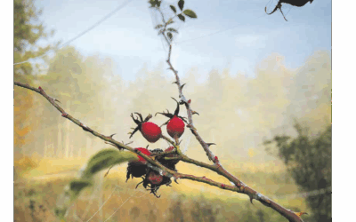 SWmagazin Oktober 2025 ist online