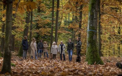 FriedWald am Zabelstein kennenlernen