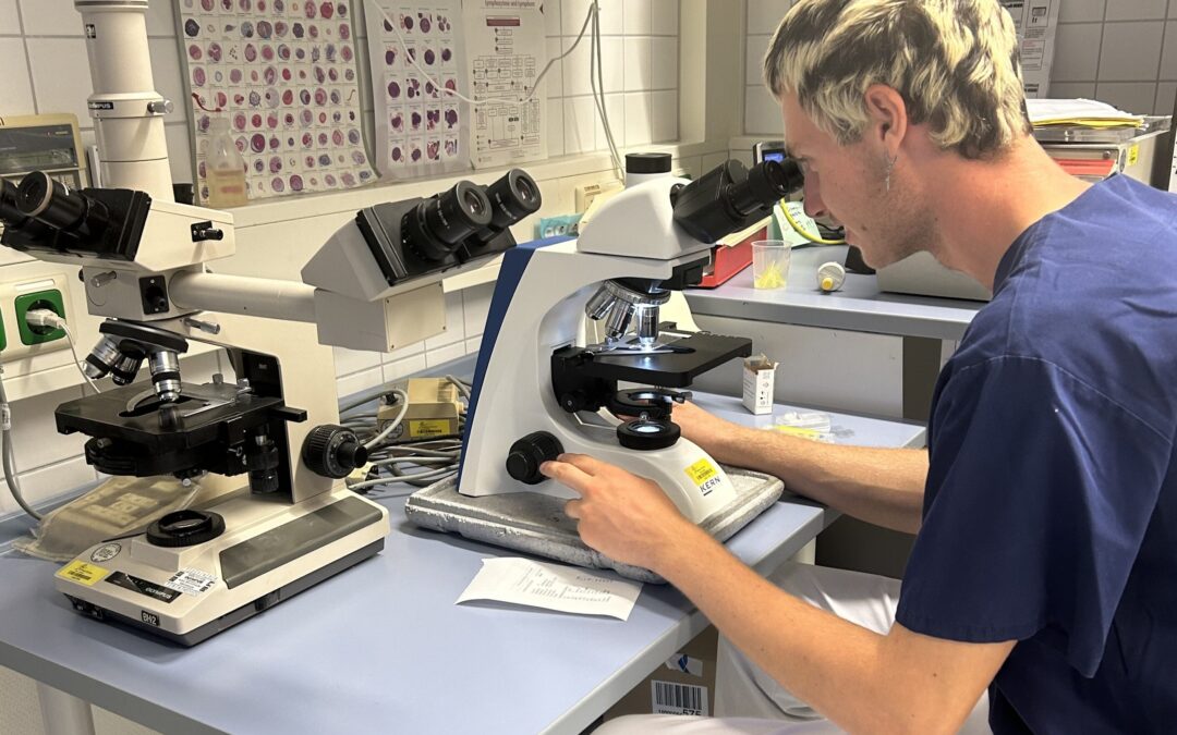 Praxisluft in der Berufswelt schnuppern