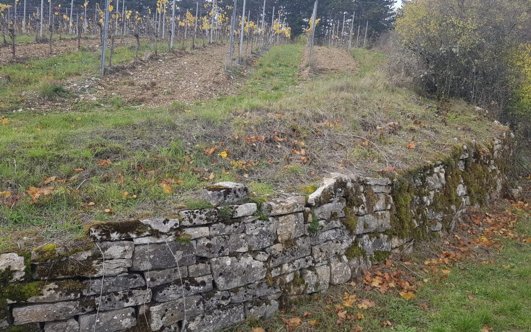Untere Naturschutzbehörde des Landkreises führt Maßnahmen zum Schutz hochgefährdeter Tierarten durch