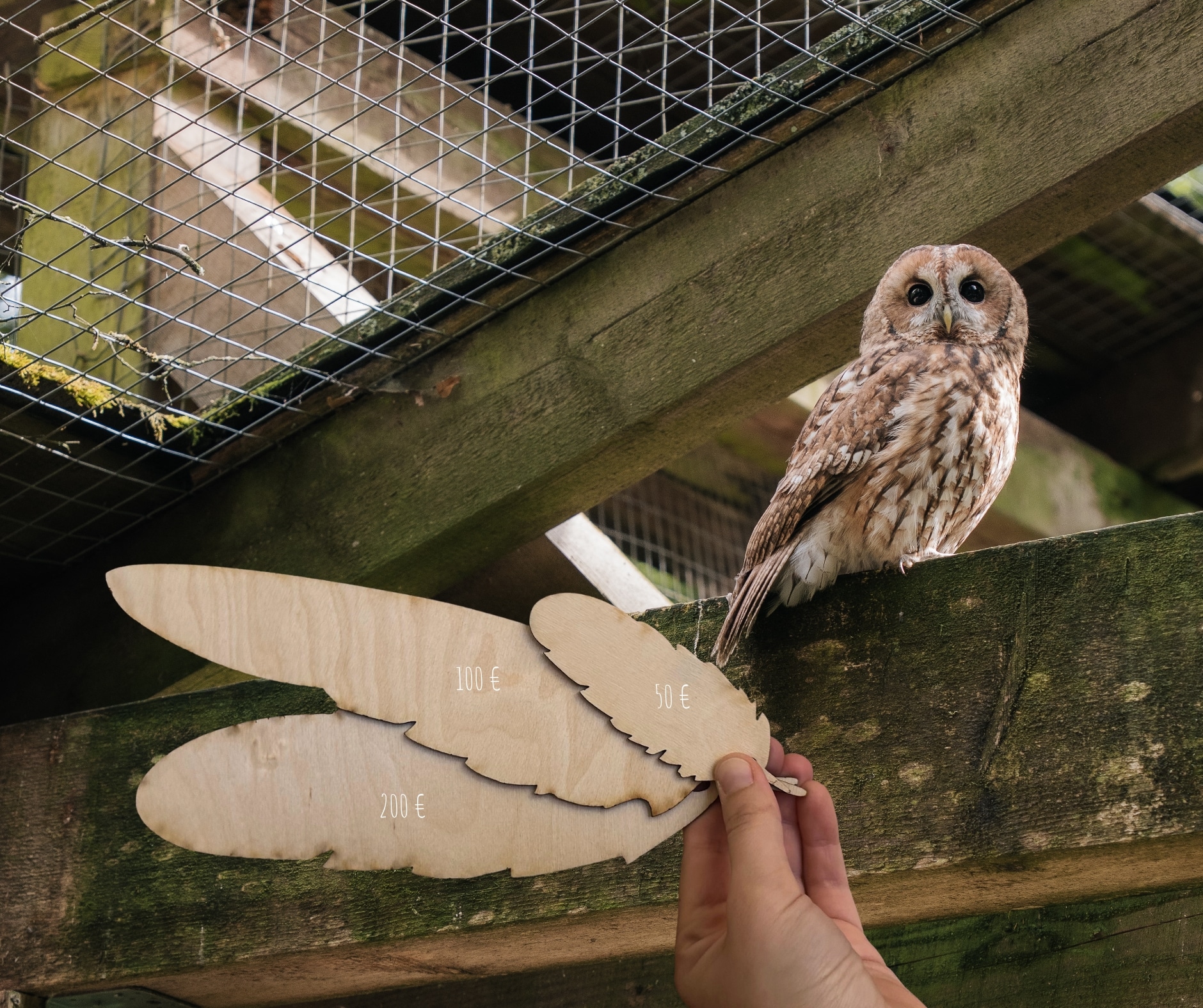 PM_168_Eulenaktion 2026 (c) Julia Milberger