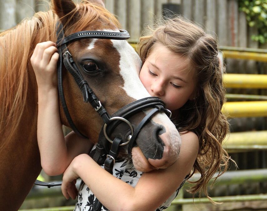 Stadt Schweinfurt unterstützt den Ausbau eines Zentrums für therapeutisches Reiten in der Partnerstadt Lutsk