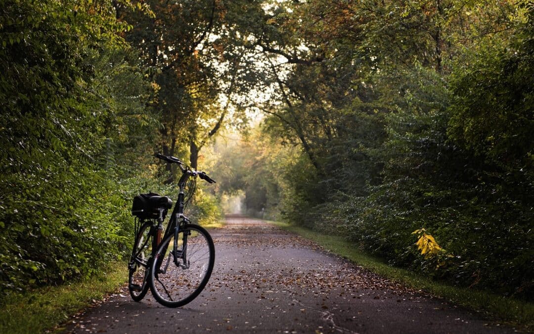 Mann stürzt mit entwendetem Fahrrad vor Polizeistreife