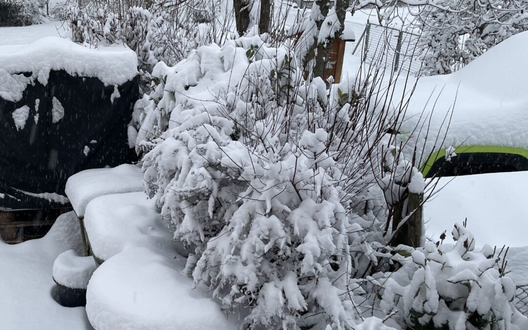 Noch hat der Winter nicht fertig