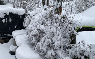 Noch hat der Winter nicht fertig