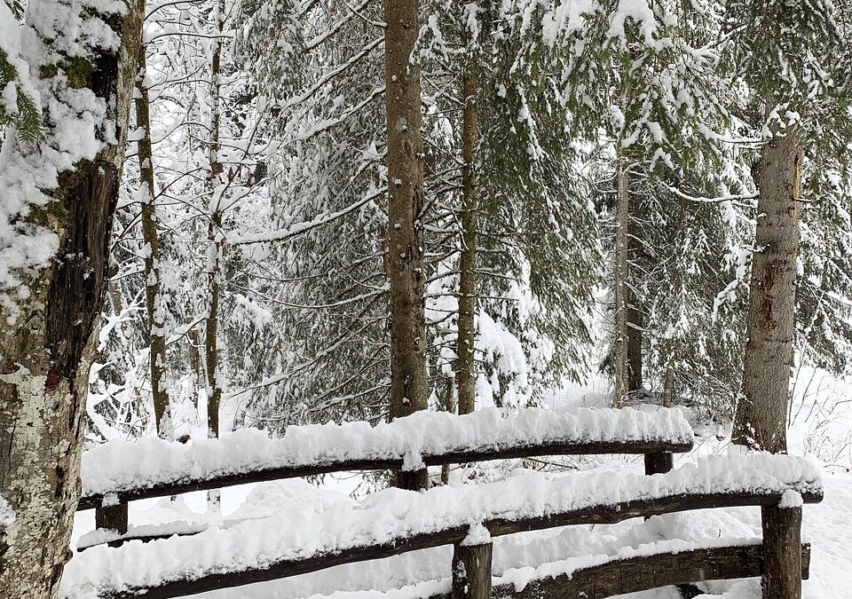 Winterdienst im Dauereinsatz – Dennoch Vorsicht in Grünanlagen und an Gewässern
