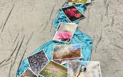 Wechseljahre & Frühstück – Gut informiert in den Tag