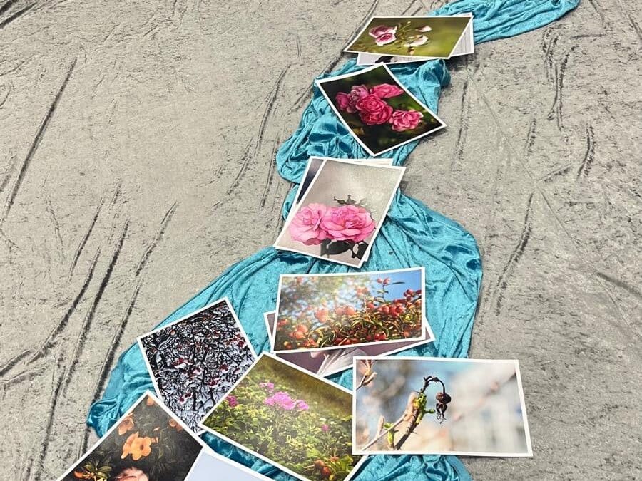 Wechseljahre & Frühstück – Gut informiert in den Tag