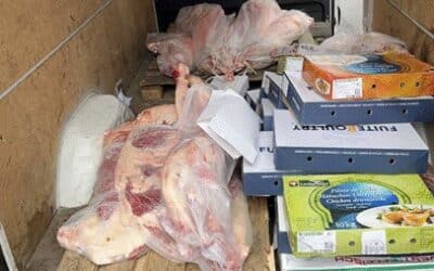 Polizei stoppt Transporter – Hunderte Kilo Fleisch aus dem Verkehr gezogen