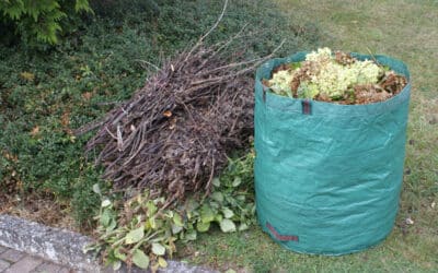 Holzige Gartenabfälle: Sammelaktion  gewährleistet wohnortnahe Abgabemöglichkeit