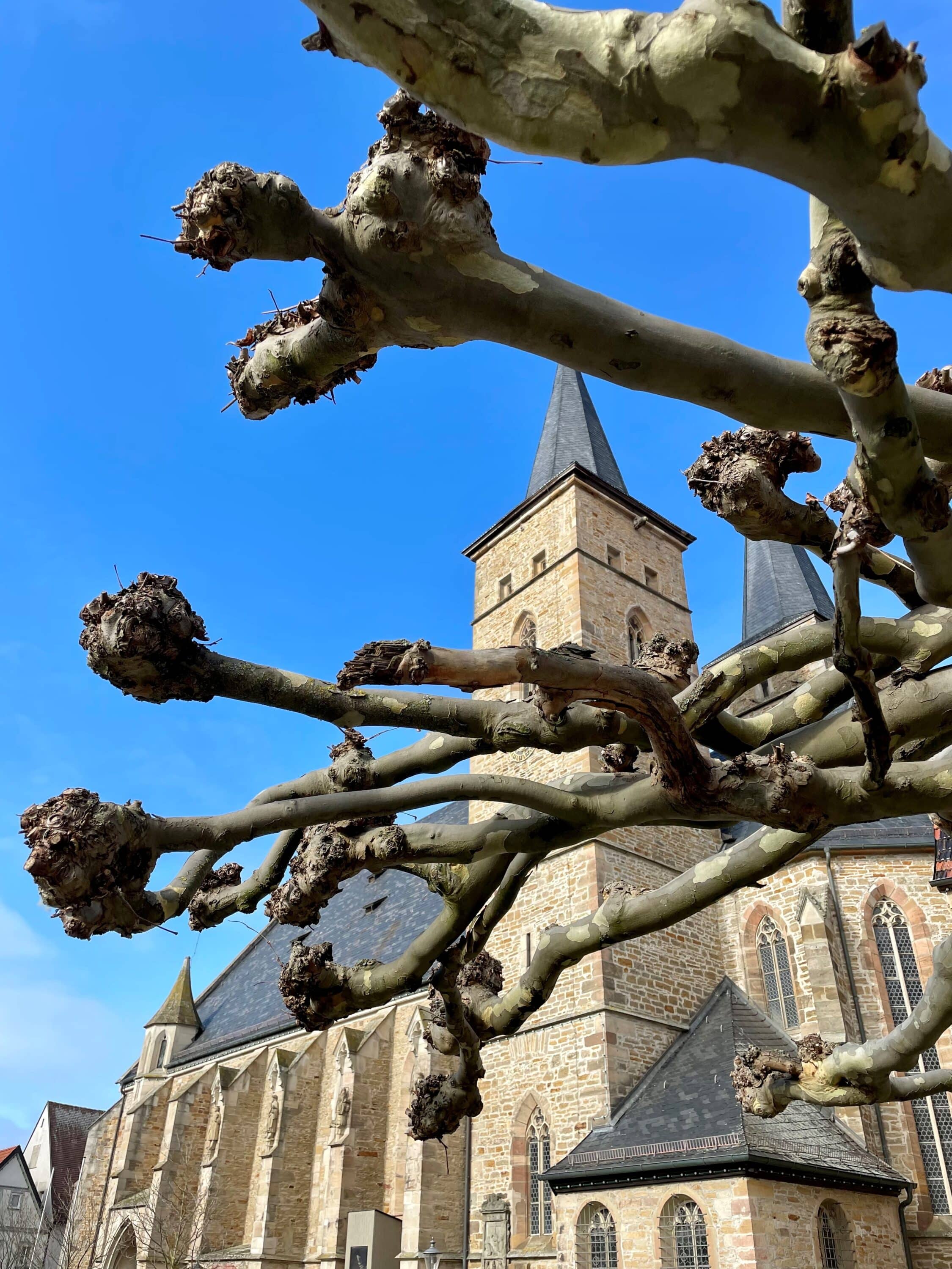 Marktplatz Frühling 03-2023