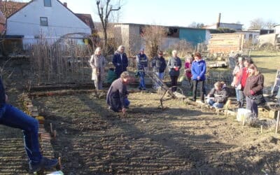 Hände in die Erde! – In Kleinmünster startet das neue Gartenjahr