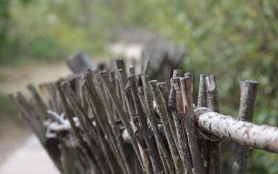 Zum Einstieg in die Gartensaison: Kompostaktion vom 13. bis 28. März