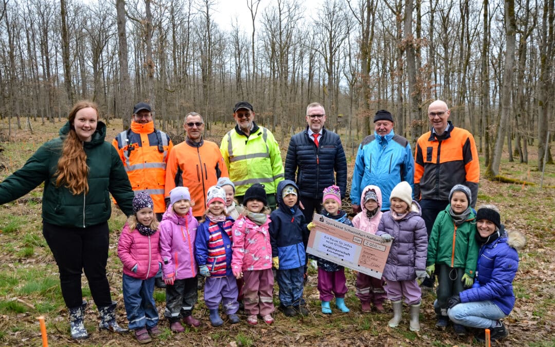 Ein Baum für jedes neue Girokonto: Sparkasse finanziert Setzlinge für den Kronunger Wald