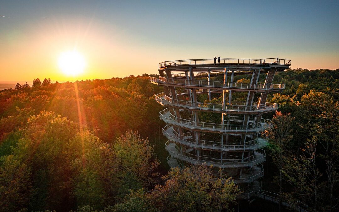 Baumwipfelpfad Steigerwald feiert 10-jähriges Jubiläum mit Tag der Offenen Tür  Festakt und großes Familienfest am 18. April