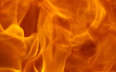 Earth Hour 2026: „Wir machen’s aus!“