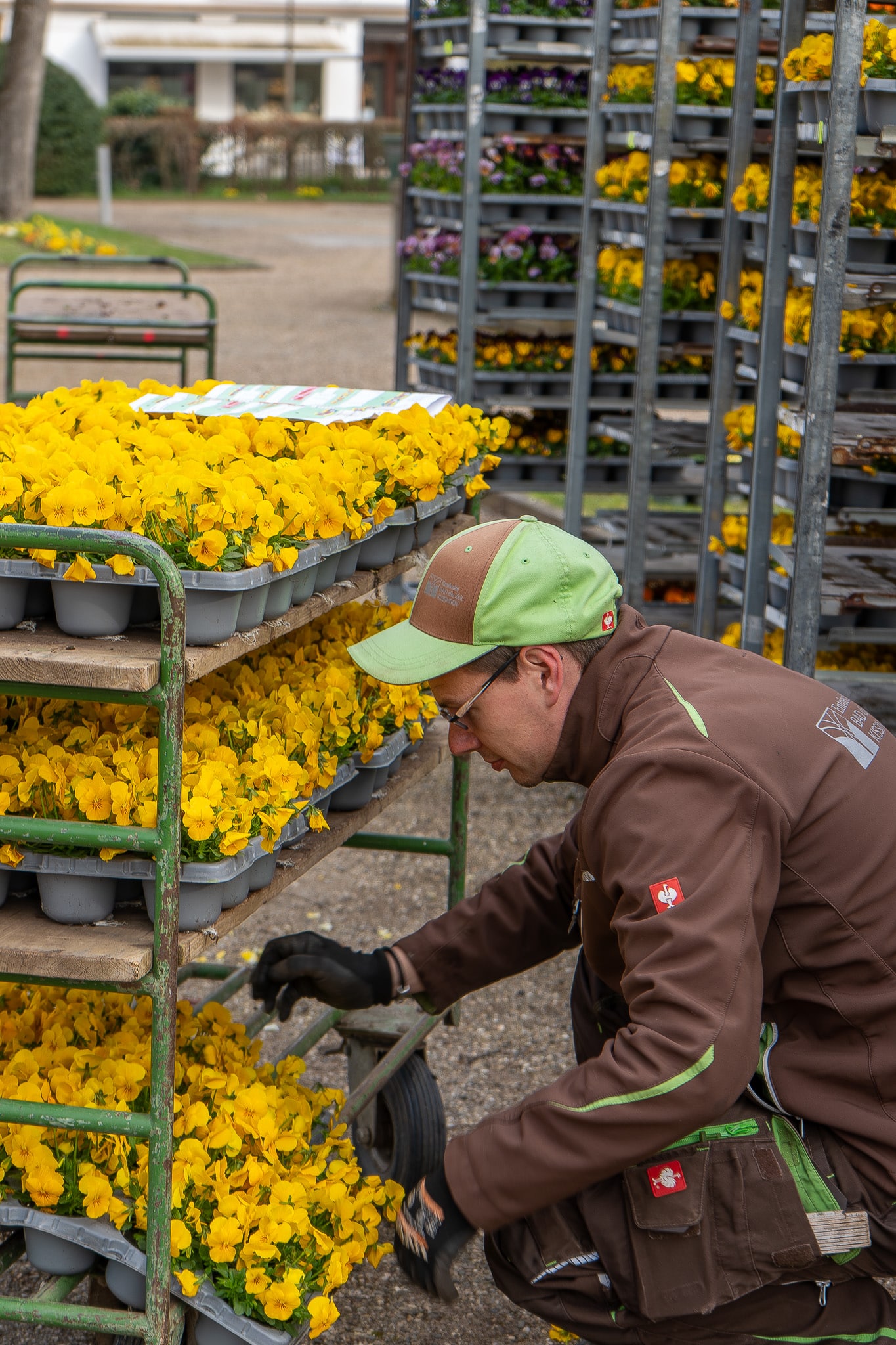 Frühlingsbepfalnzung 2026 (c) Bayer. Staatsbad B ad Kissingen GmbH_Foto Nina Pereia Santo (1)