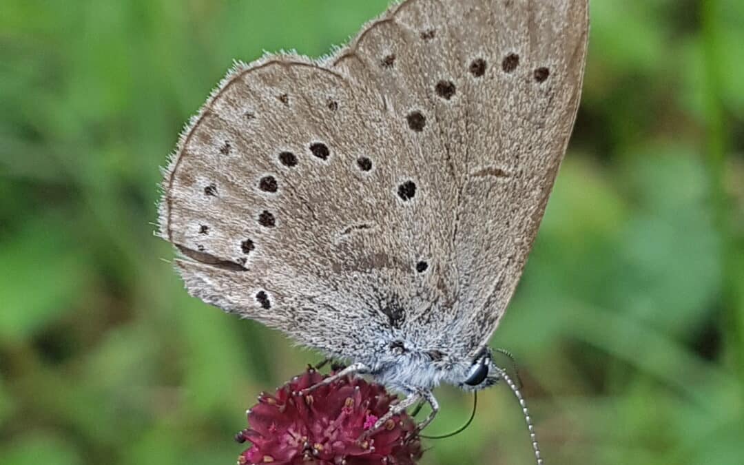 Fast 250.000 Euro an die Landwirte im Landkreis