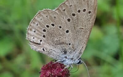 Fast 250.000 Euro an die Landwirte im Landkreis