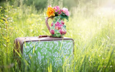 Sommeröffnungszeit in der Tourist-Information Schweinfurt 360°