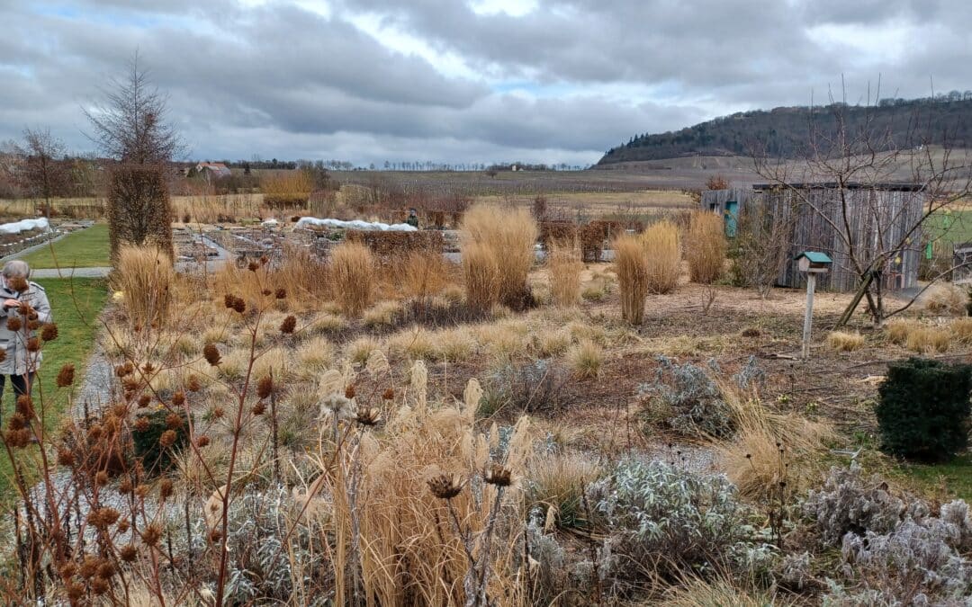 Staudenexperte Till Hofmann hält einen Fachvortrag „Staudenflächen zielführend anlegen, erhalten und weiterentwickeln!“