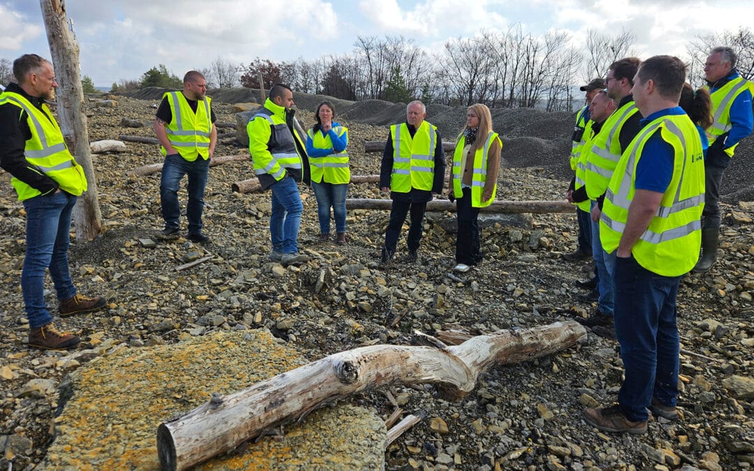 Projekt „Natur auf Zeit“ im Steinbruch Hochrein in Oberthulba will biologische Vielfalt erhalten