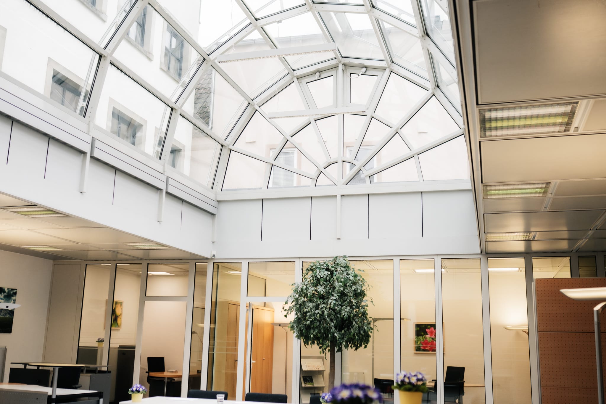 PM_045_Markthalle Julia Milberger-38 (003)