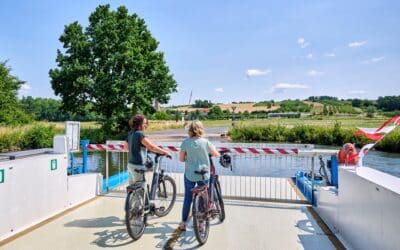 Autofreier Sonntag im Fränkischen Weinland