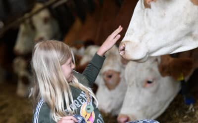 Aktiv-Wochen „Frühling.Erlebnis.Bauernhof“ starten am 15. April
