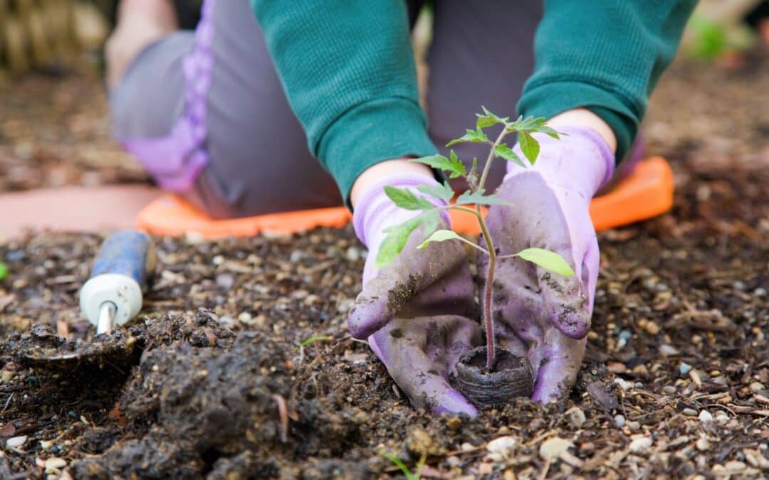 Fit und gesund durch Gartenarbeit