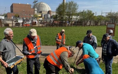 Grenzbegang der Feldgeschworenen