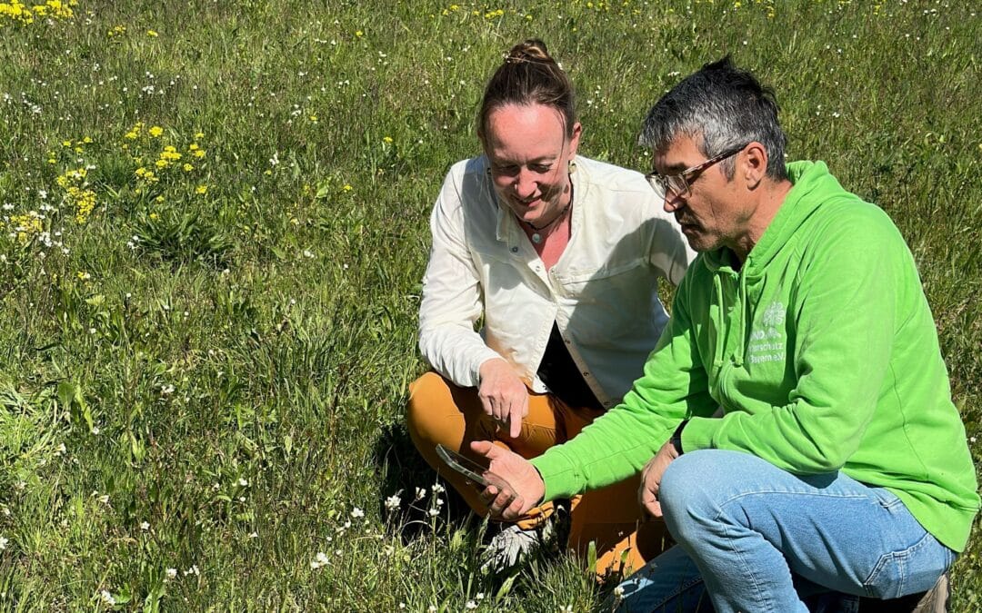 Neues Umweltprojekt: Bürgerinnen und Bürger sollen helfen, seltene Pflanzenarten zu bestimmen