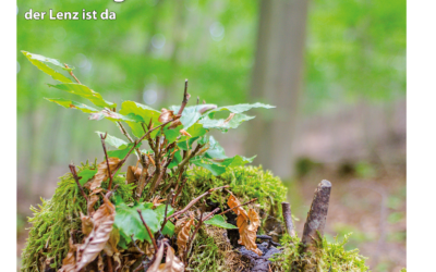 SWmagazin April 2026 ist online