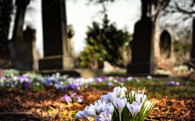 Rad-Kontrollaktion am Friedhof