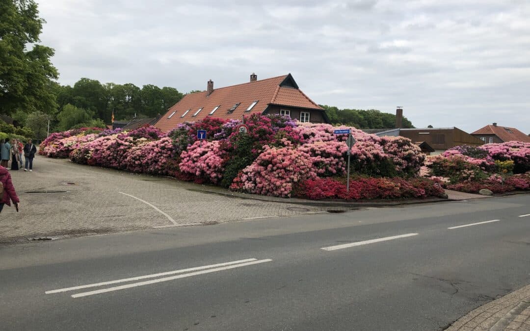 Ammerland – Erlebbare Gartenkultur Gartenstudienreise des Kreisverbandes für Gartenbau und Landespflege begeistert 78 Teilnehmerinnen und Teilnehmer